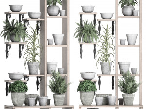 plants collection vertical gardening 28 3 3D Model