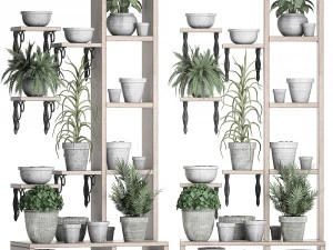 plants collection vertical gardening 28 3 3D Model