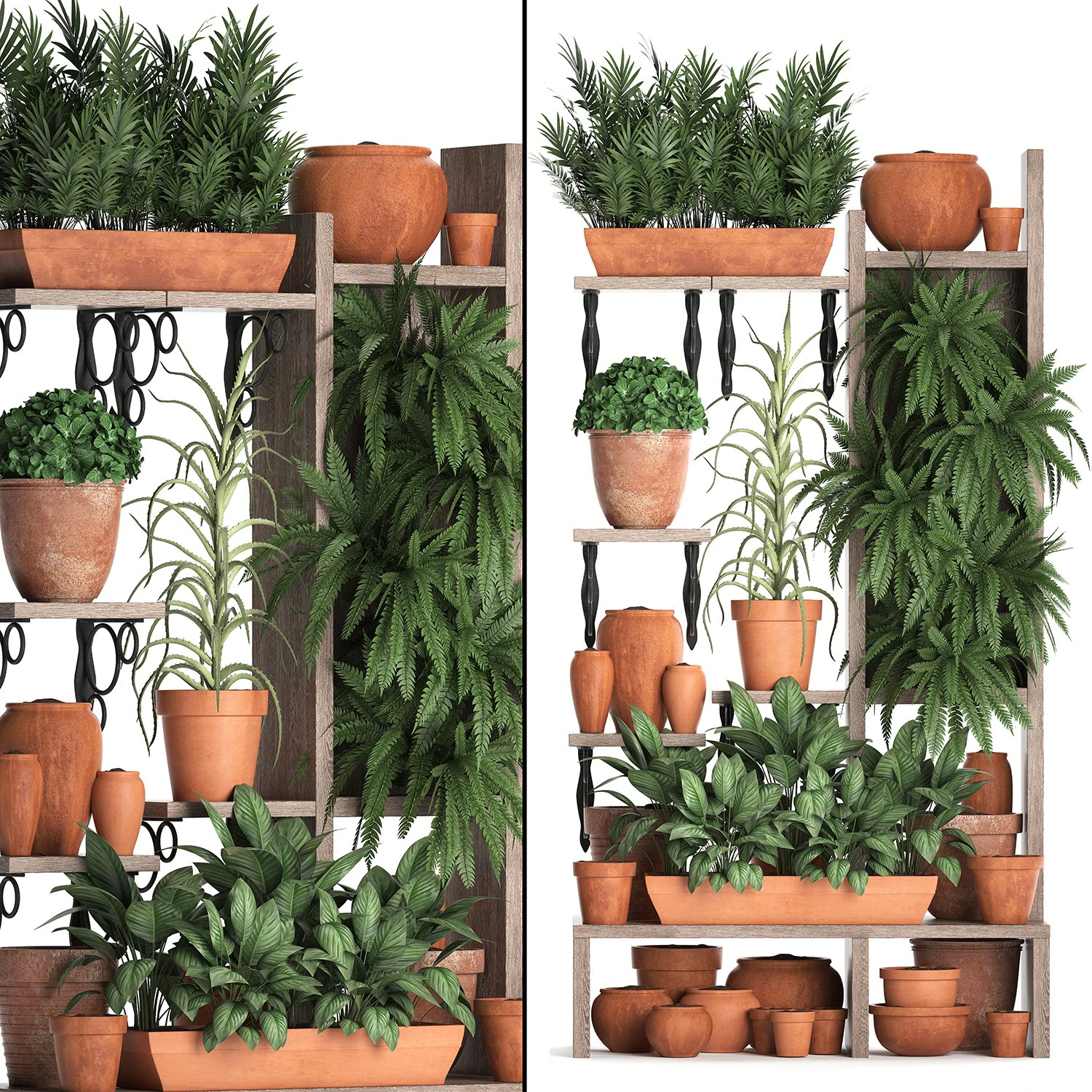 plants collection vertical gardening 27 2 3D Model .c4d .max .obj .3ds .fbx .stl .blend 