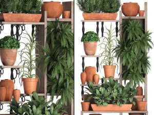 plants collection vertical gardening 27 2 3D Model