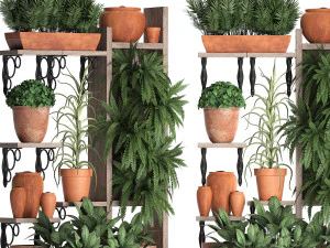plants collection vertical gardening 27 2 3D Model