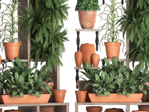 plants collection vertical gardening 27 2 3D Model