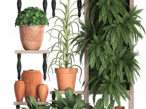 plants collection vertical gardening 27 2 3D Model