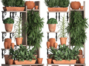 plants collection vertical gardening 27 2 3D Model