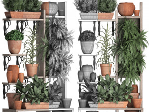 plants collection vertical gardening 27 2 Modèle 3D