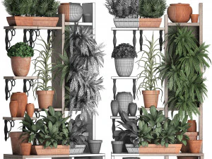 plants collection vertical gardening 27 2 3D Model