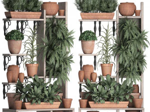 plants collection vertical gardening 27 2 3D Model