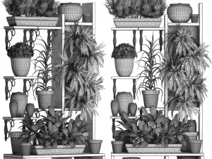 plants collection vertical gardening 27 2 3D Model