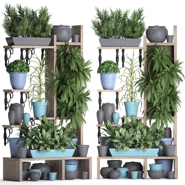 collection exotic plants 367 3D-Modell .c4d .max .obj .3ds .fbx .stl .blend 