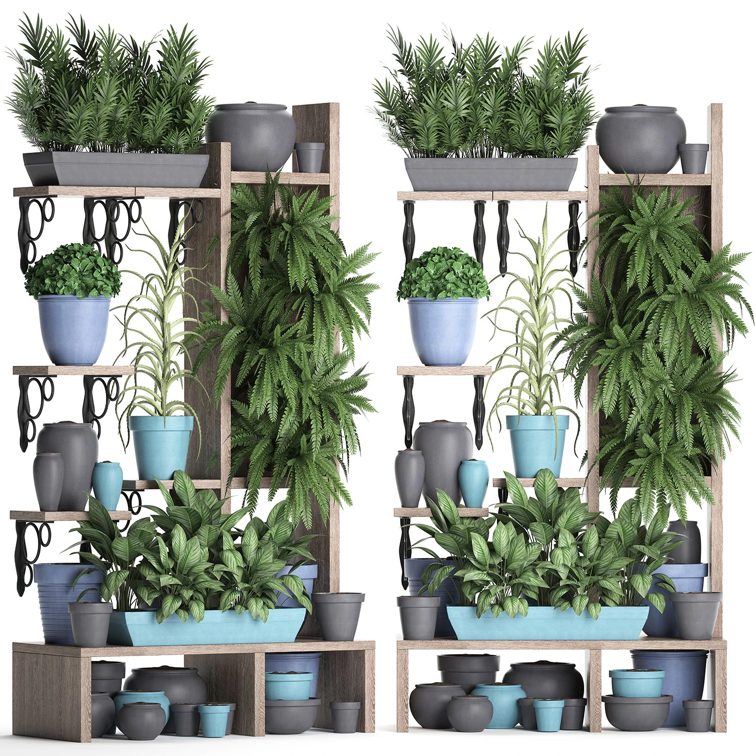 collection exotic plants 367 3D Model .c4d .max .obj .3ds .fbx .stl .blend