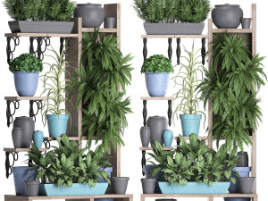 collection exotic plants 367 3D 模型
