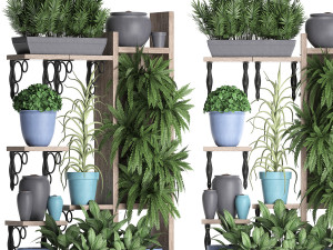 collection exotic plants 367 3D-Modell