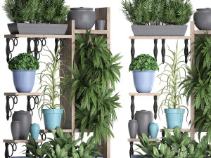 collection exotic plants 367 3D Model