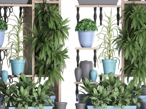 collection exotic plants 367 3D-Modell
