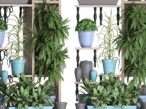 collection exotic plants 367 3D Model