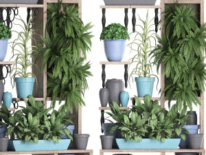 collection exotic plants 367 3D Model