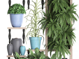 collection exotic plants 367 3D Model
