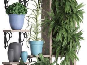 collection exotic plants 367 3D Model