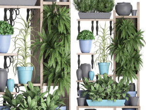 collection exotic plants 367 3D Model