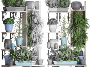 collection exotic plants 367 3D Model