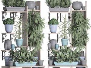 collection exotic plants 367 3D-Modell