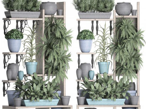 collection exotic plants 367 3D Model
