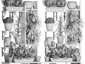 collection exotic plants 367 3D Model