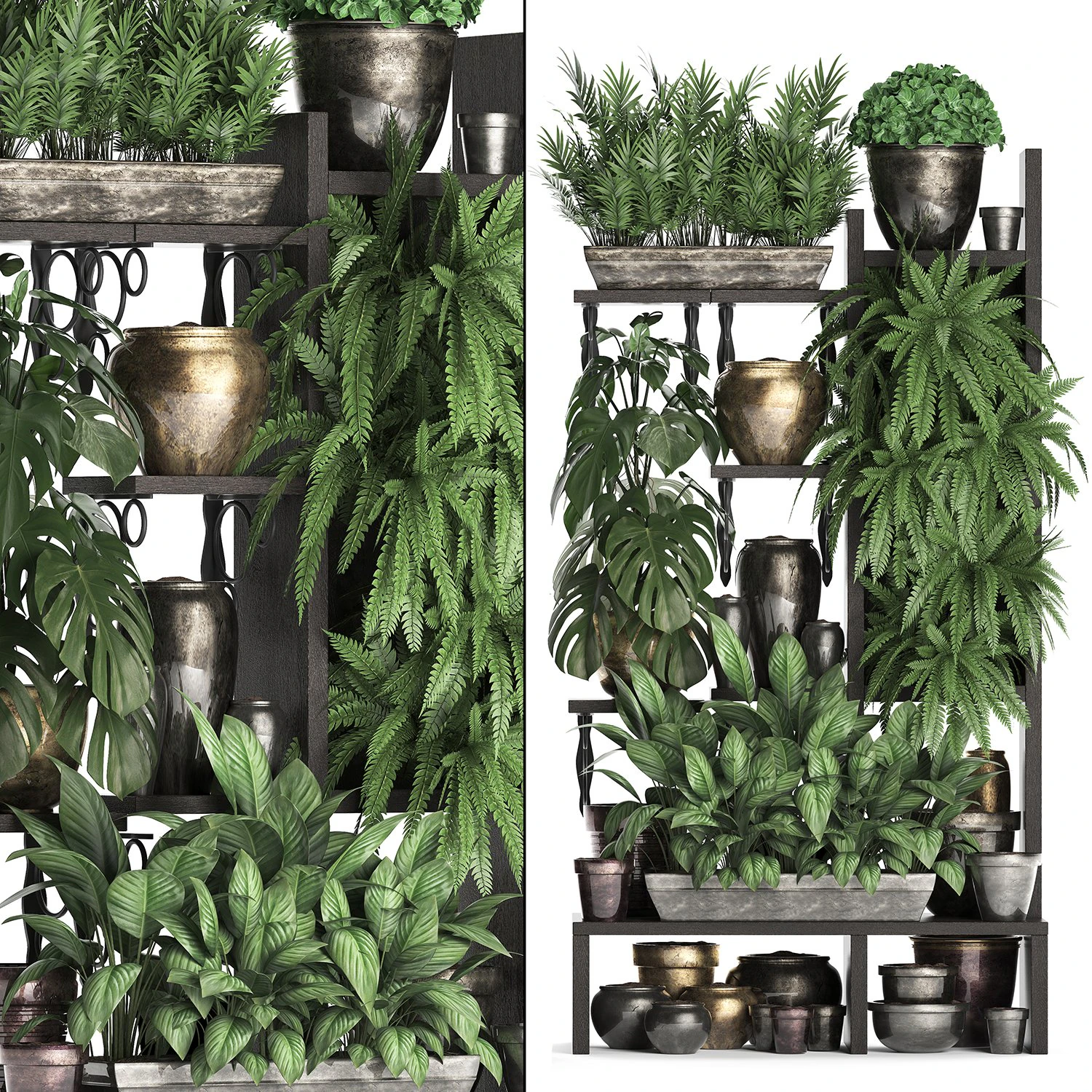 collection exotic plants 368 3D Model .c4d .max .obj .3ds .fbx .stl .blend 