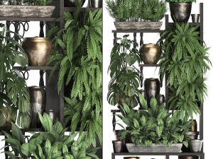 collection exotic plants 368 3D Model