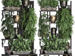 collection exotic plants 368 3Dモデル