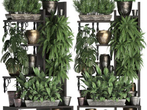 collection exotic plants 368 3D Model