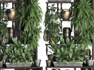collection exotic plants 368 3Dモデル