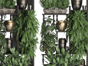 collection exotic plants 368 3D Model