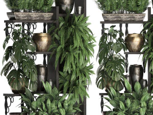 collection exotic plants 368 3D Model