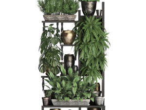collection exotic plants 368 3D Model