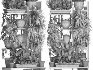 collection exotic plants 368 3Dモデル