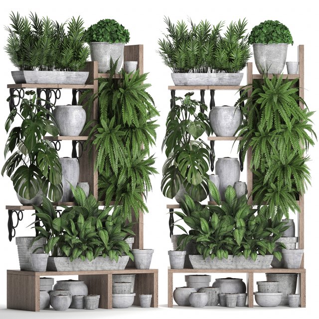 collection exotic plants 369 3D 모델 .c4d .max .obj .3ds .fbx .stl .blend 