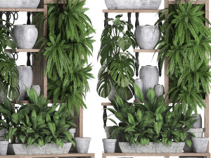 collection exotic plants 369 3D 모델