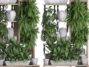 collection exotic plants 369 3D Model