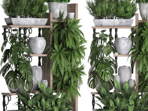 collection exotic plants 369 3D Model