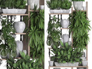 collection exotic plants 369 3D 모델