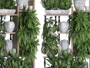 collection exotic plants 369 3D 모델