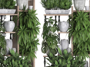 collection exotic plants 369 3D Model