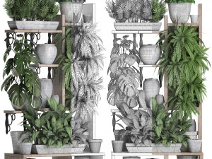 collection exotic plants 369 3D Model