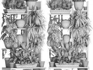collection exotic plants 369 3D Model