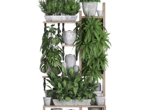 collection exotic plants 369 3D Model