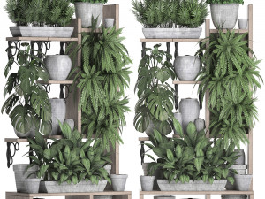 collection exotic plants 369 3D 모델