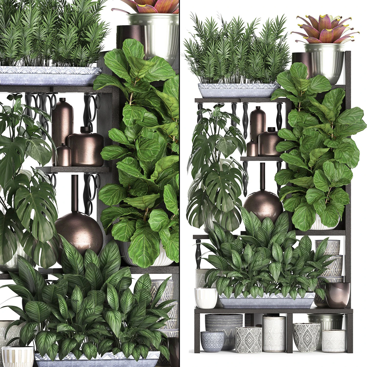 collection exotic plants 370 3D Model .c4d .max .obj .3ds .fbx .stl .blend 