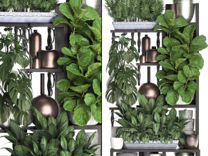 collection exotic plants 370 3D Model