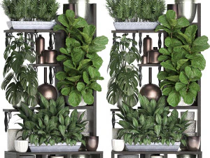 collection exotic plants 370 3D Model